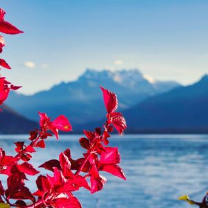 Custom Switzerland Trip – Highlights & Lakes